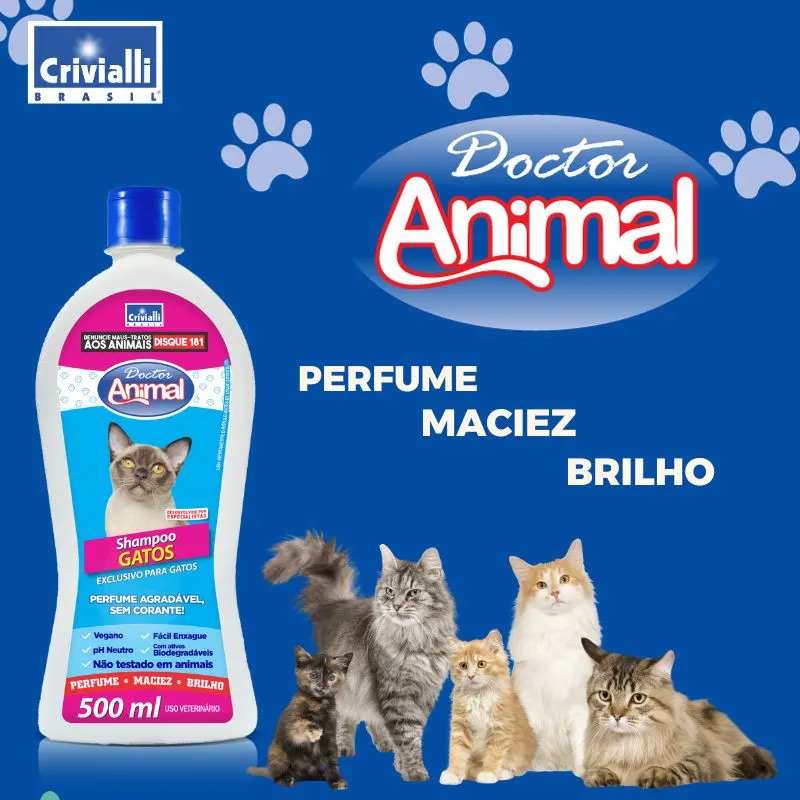 Imagem ilustrativa de Shampoo para gatos brancos